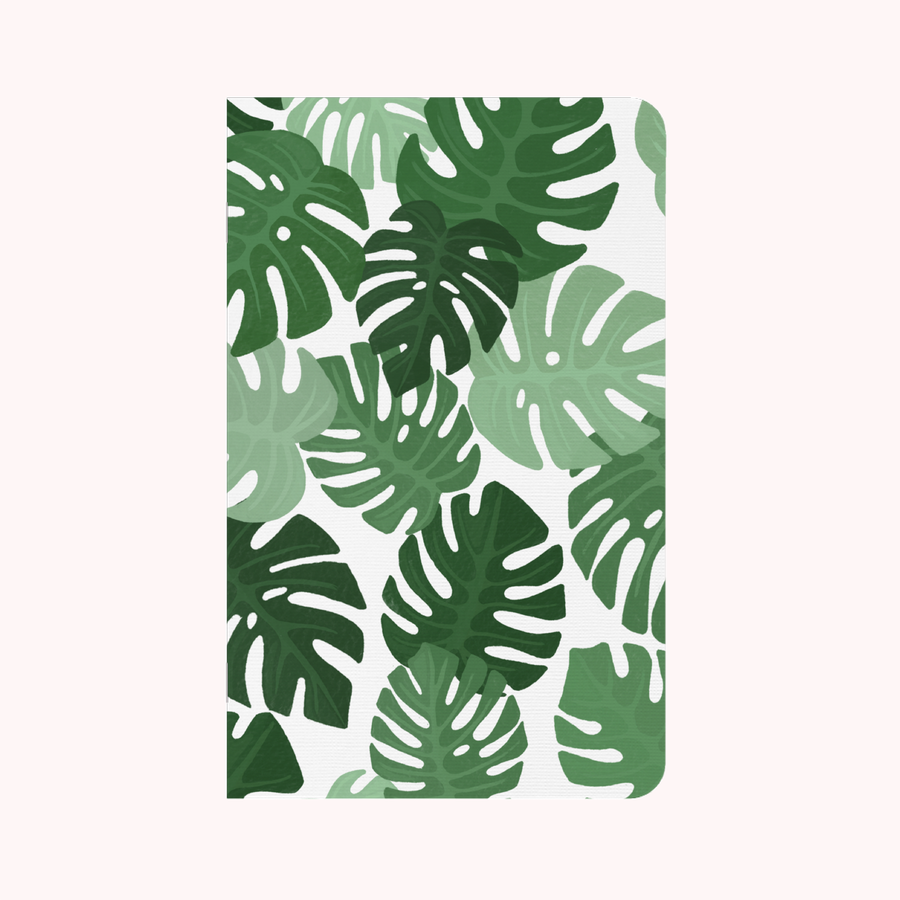 Monstera